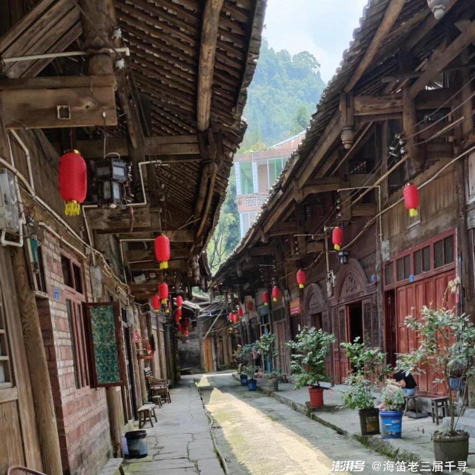 太阁立志传5